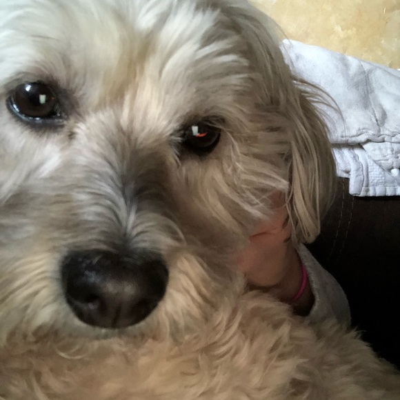 Meet your Posher, Chelsea - Picture 1 of 1